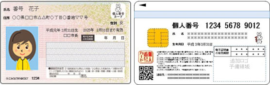 個人番号カード（表・裏）
